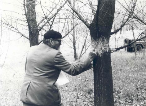 103.jpg