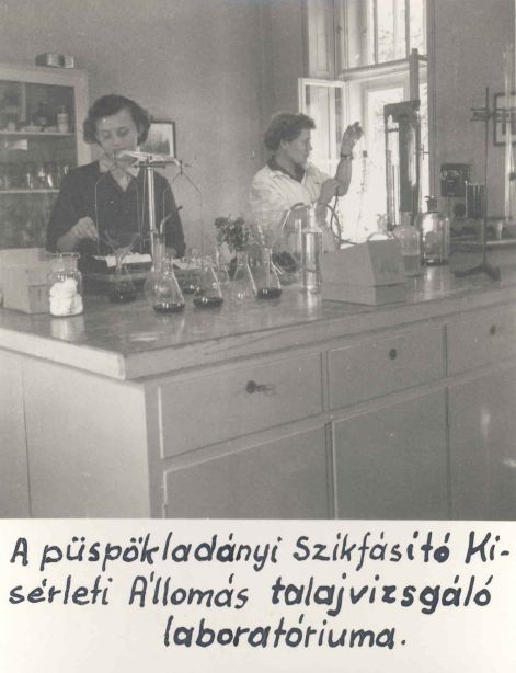 113.jpg